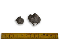 F 00310
<br/>
<br/>
<em></em>